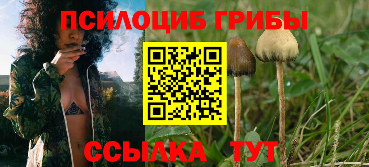 Псилоцибиновые грибы MAGIC MUSHROOMS Баксан