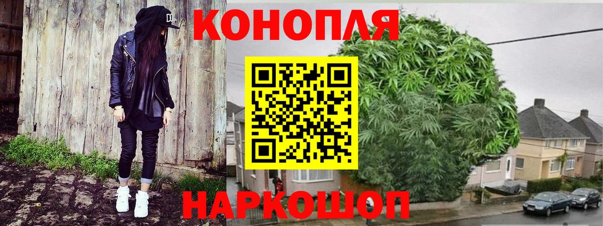 Конопля гибрид  Бошки Шишки марихуана  Канабис White Widow  Баксан  Вход с VPN 
